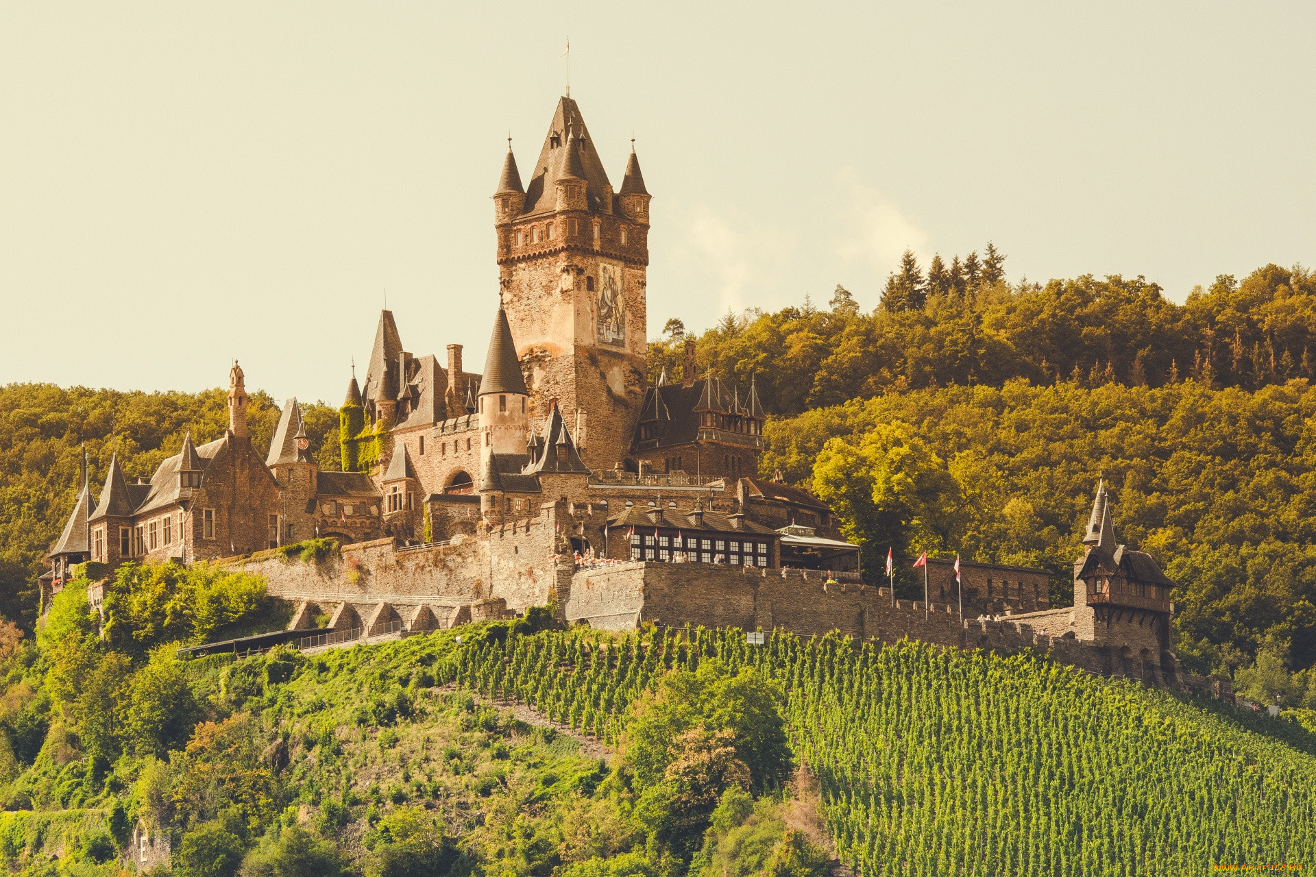 cochem castle, ,  , , cochem, castle